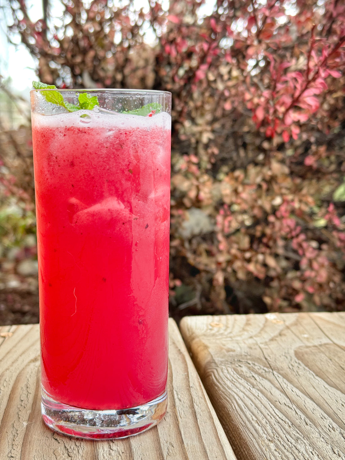 Blackberry Mojito Vodka Cocktail