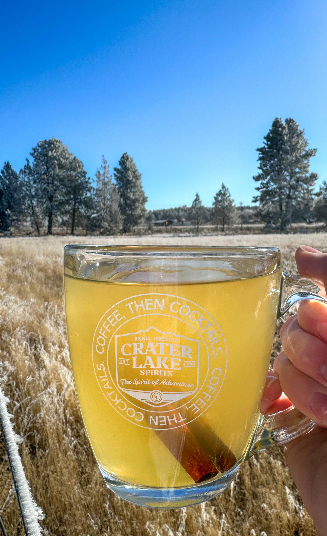 Hot Toddy Whiskey Cocktail