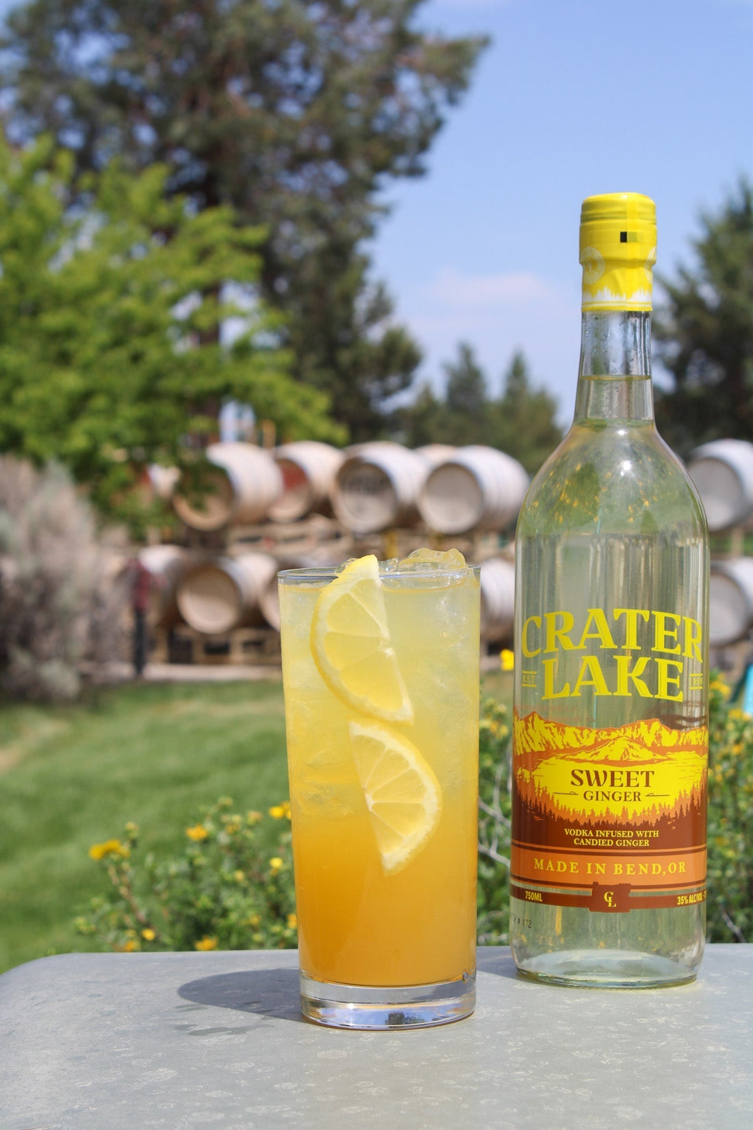 Ginger Daly Vodka Cocktail