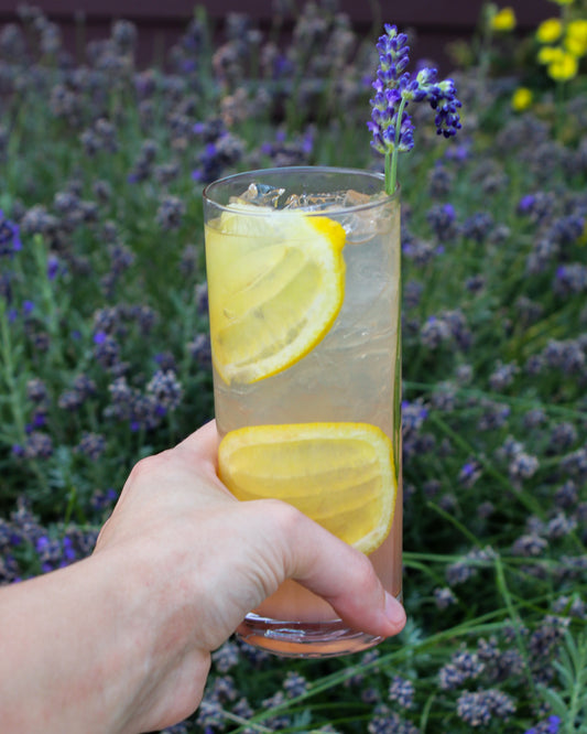 Rye Lavender Lemonade Whiskey Cocktail